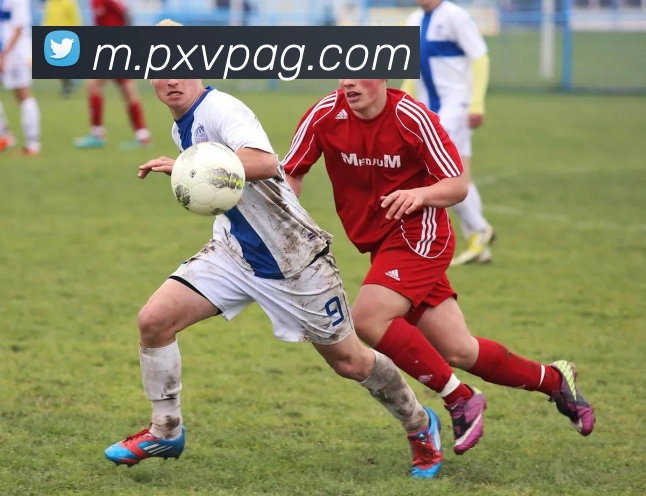 ag官网服务体系